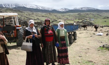 Köylüyü Yok Etme Kanunu / Tayfun Özkaya