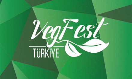 Vegan Fest / Kartepe 13-14 Haziran 2015