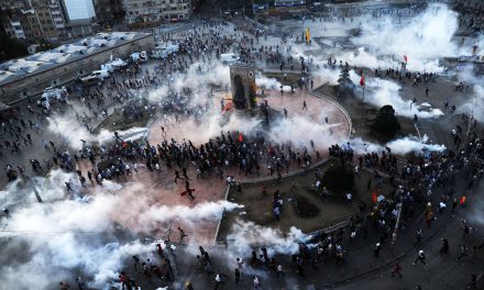 Gezi’nin Yıldönümü: Mine Özerden ile Söyleşi